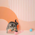 Pikkukuva 2 / 2: [NT] Itse liikkuva kissan lelu pallo Lemmikkikissan interaktiiviset harjoituslelut pienelle isolle kissalle Pyörivä pallo Pinkki