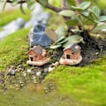 Miniatyrbild 4 av 5: [NT] Minihusset i harts, gör-det-själv trädgårdslandskap, hållbart, långvarigt, säkert, vattentätt, bleknar inte, för inomhus och utomhus 1 2 3
