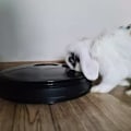 Miniatyrbild 2 av 2: [NT] Foderautomat för hund - Automatisk matare