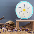 Miniatyrbild 10 av 11: Hamsterhjul Halkfritt Tyst Löphjul 12/14/17.5/21.5cm Underhållningsrulle Leksak Löpning A1b1 14cm 1pcs