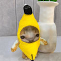 Miniatyrbild 5 av 11: Banan Cat Happy Cat Söt rolig nyckel hänge nyckelring TOP Vocal cry banana cat Large
