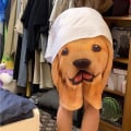 Miniatyrbild 11 av 11: Fem shorts för män Golden Retriever utskrift Casual Beach Shorts shortsL L