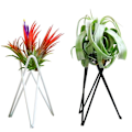 Miniatyrbild 3 av 11: Luftväxthållare Metall Blomkrukställ Geometriskt järn Tillandsia Display Art White