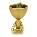Miniatyrbild 9 av 11: Suckulent växt blomkruka Container Abstrakt mänsklig konst vas Desktop dekoration Gold