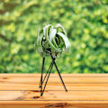 Miniatyrbild 10 av 11: Luftväxthållare Metall Blomkrukställ Geometriskt järn Tillandsia Display Art White