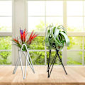 Miniatyrbild 9 av 11: Luftväxthållare Metall Blomkrukställ Geometriskt järn Tillandsia Display Art White