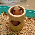 Miniatyrbild 3 av 8: Hamster trätunnel ihålig bambu naturliga tuggleksaker Iller för lekplats för igelkottsråtta trägömställe med 3 hål