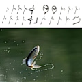 Miniatyrbild 3 av 11: 11 stycken flugspöguide set fiskespets reparationssats hård orm guide spets krok kast spö guide fiske reparation kit Gun Color