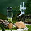 Miniatyrbild 6 av 11: Automatisk hamstrar vattenflaska hängande vattendispenser pärlhuvud bevattningsflaska dricksförråd för smådjur White 80ml