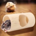 Miniatyrbild 2 av 8: Hamster trätunnel ihålig bambu naturliga tuggleksaker Iller för lekplats för igelkottsråtta trägömställe med 3 hål