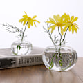 Miniatyrbild 5 av 11: Granatäppleform Klart glas Vas Flaska Blomflaska Växter Flaska Glas Material för hemväxter Blomdekorationer S