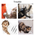Miniatyrbild 10 av 10: 10-pack för Cat Scratch Avskräckande Tejp Klara sköldar Möbelskydd från katter som kliar för soffan Anti-Scratch Pa