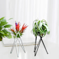 Miniatyrbild 8 av 11: Luftväxthållare Metall Blomkrukställ Geometriskt järn Tillandsia Display Art White