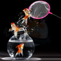 Miniatyrbilde 7 av 9: Tiny Fish Tank Net Aquarium Reke Nett 35CM 35cm