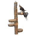 Pikkukuva 3 / 5: Bird Toy Parrot Stand Lintujen ahven alusta