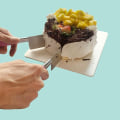 Pikkukuva 6 / 8: Cake Slicer Cutter Pie Cutting Cake Clip Pink