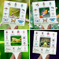 Miniatyrbild 3 av 9: Nature Guide Finder Nature Viewfinder 2 2 2