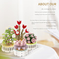 Miniatyrbillede 9 af 9: Sukkulent byggestensblomst C C C