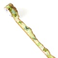 Miniatyrbilde 1 av 10: Washi Tape maskeringstape 05 05 05