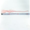 Miniatyrbilde 2 av 8: 5 stk Klut Stoff Blomst Tulipan Klær Patch ROSA pink