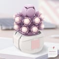Miniatyrbillede 1 af 9: Sukkulent byggestensblomst E E E