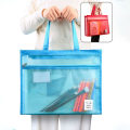 Miniatyrbild 10 av 10: Mesh blixtlåspåse Transparent filpåse FÄRG 4 FÄRG 4 Color 4