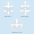 Miniatyrbilde 2 av 7: Cookie Cutters Cookie Stamp BUNNY EGG BUNNY EGG Bunny Egg