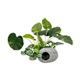 Miniatyrbilde 1 av 9: Kunstige vannplanter Fisketankplanter B B B