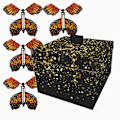 Miniatyrbild 5 av 10: Överraskning Flying Butterfly Box Creative Bounce Box C C C