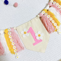 Miniatyrbild 8 av 8: Färgglad tofs Barnstol Banner Färgglad tofs Banner Party