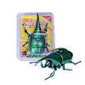 Pikkukuva 3 / 10: Wind-Up Beetle Creative Prankster Animoitu Insect RED red
