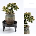 Miniatyrbillede 7 af 8: Plantepottebakke Plante metalstativ 3 3 3