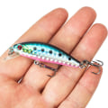 Miniatyrbillede 7 af 8: Fiskelokkegrej 5 5 5