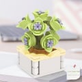 Miniatyrbillede 1 af 9: Sukkulent byggeklodsblomst A A A