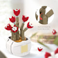 Miniatyrbillede 7 af 9: Sukkulent byggeklodsblomst A A A