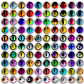 Miniatyrbilde 1 av 10: 20 stk/10 par Eyes Crafts Eyes Puppet Crystal Eyes 16MM-FARGE 16mm-color random