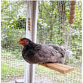 Pikkukuva 2 / 5: Chicken Swing Lelu Ahven Tikkaat Puiset tarvikkeet
