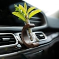 Miniatyrbillede 7 af 9: Reagensglas Vase i massivt træ Mini Bonsai Vase 1 1 1