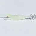 Miniatyrbilde 8 av 10: 1 stk Myk fiskesluk reker blekksprutkrok 03 03 03