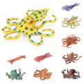 Miniatyrbilde 7 av 10: Marine Molluscs Model Simulation Squid Octopus 08 08 08