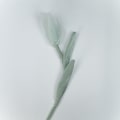 Miniatyrbillede 1 af 8: 5 Stk Stof Stof Blomst Tulipan Tøj Patch GRØN green