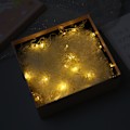Miniatyrbild 6 av 10: Pearl Light String LED Koppartråd MULTICOLOR PEAR PEAR multicolor pear-pear