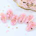 Pikkukuva 10 / 10: Nail Glitter Flakes Kynsien paljetteja 12 RIDIKKAA - A 12 RIVIKKAA - A 12 Grids - A