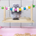 Miniatyrbillede 5 af 5: Smådyr Lava Tænder Slibesten Hamster Træ Platform