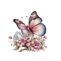 Pikkukuva 1 / 10: Butterfly-wc-tarrat kukkaperhostarrat 1 1 1
