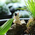 Miniatyrbild 5 av 10: Fiskekattprydnader Akvariumdekoration 3 3 3