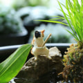 Miniatyrbild 5 av 10: Fiskekattprydnader Akvariumdekoration 6 6 6