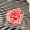 Pikkukuva 1 / 10: Peony Flower -hiusklipsit tekokukkahiusneulat H H H