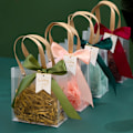 Miniatyrbillede 4 af 8: Gavepose Slikpose 22X9X25B B 22x9x25B