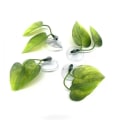 Miniatyrbilde 3 av 5: 2stk kunstige vannplanter akvarieplanter fiskebladplanter